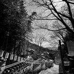 Down from Salvation, Award Winning Fine Art Photograph, Award winning photography, Beomeosa Temple photos, South Korea photography, black and white photography, black and white art prints, Australian Photographer, LJT photography