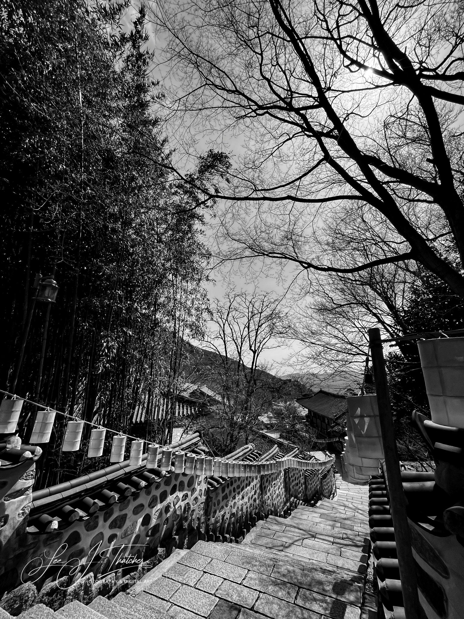 Down from Salvation, Award Winning Fine Art Photograph, Award winning photography, Beomeosa Temple photos, South Korea photography, black and white photography, black and white art prints, Australian Photographer, LJT photography