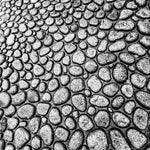 Pebble Road, Pebble photography, minimalistic artwork, black and white photography prints, photography prints for sale, Award winning photography, pebble road photography, fine art photography, photo prints, wall art, minimalistic wall art for sale, LJT photography,