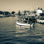 coastal photography, coastal photos, coastal prints, Mordialloc photos, sepia-toned art prints, Mordialloc beach, wall art mordialloc, art print, Australian art prints, Australian Artwork, LJT photography, Australian Art prints, Art work Australia,