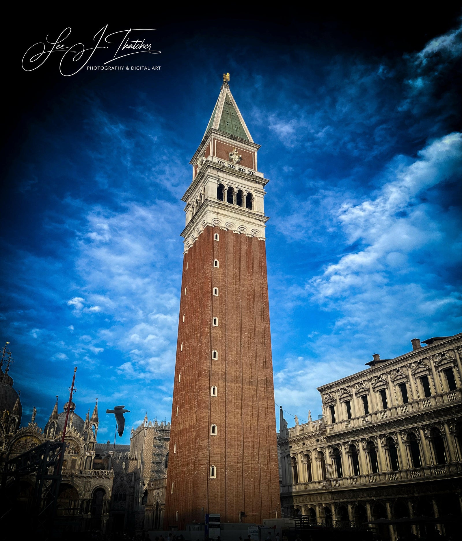 St. Marks Bird, St. Marks Campanile in Venice, St. Mark's Bird Campanile Venice, Venice Travel photography, Italy travel photography, LJT Photography, Australian Photographer, stunning photography prints