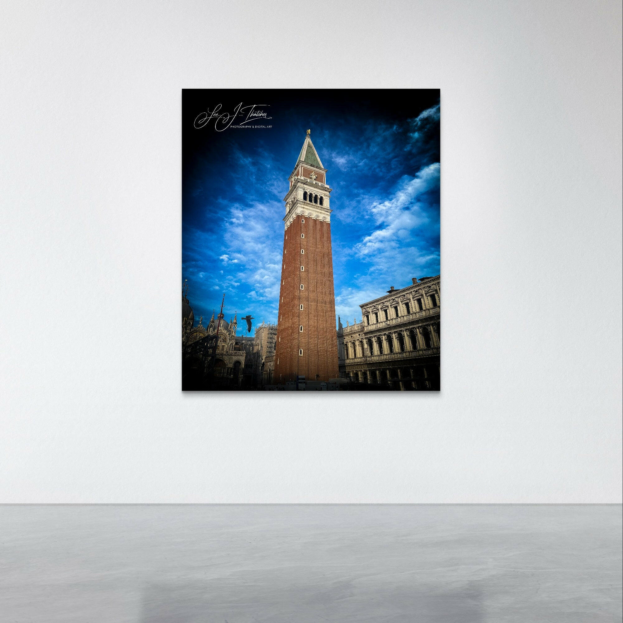 St. Marks Bird, St. Marks Campanile in Venice, St. Mark's Bird Campanile Venice, Venice Travel photography, Italy travel photography, LJT Photography, Australian Photographer
