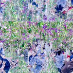 Tokyo Reflection, Artistic Fine Photograph, Tokyo photography, environmental art, digital artwork, quality prints, Tokyo photos, Tokyo flowers, flower art prints, purple artworks, digital art prints, LJT photography,