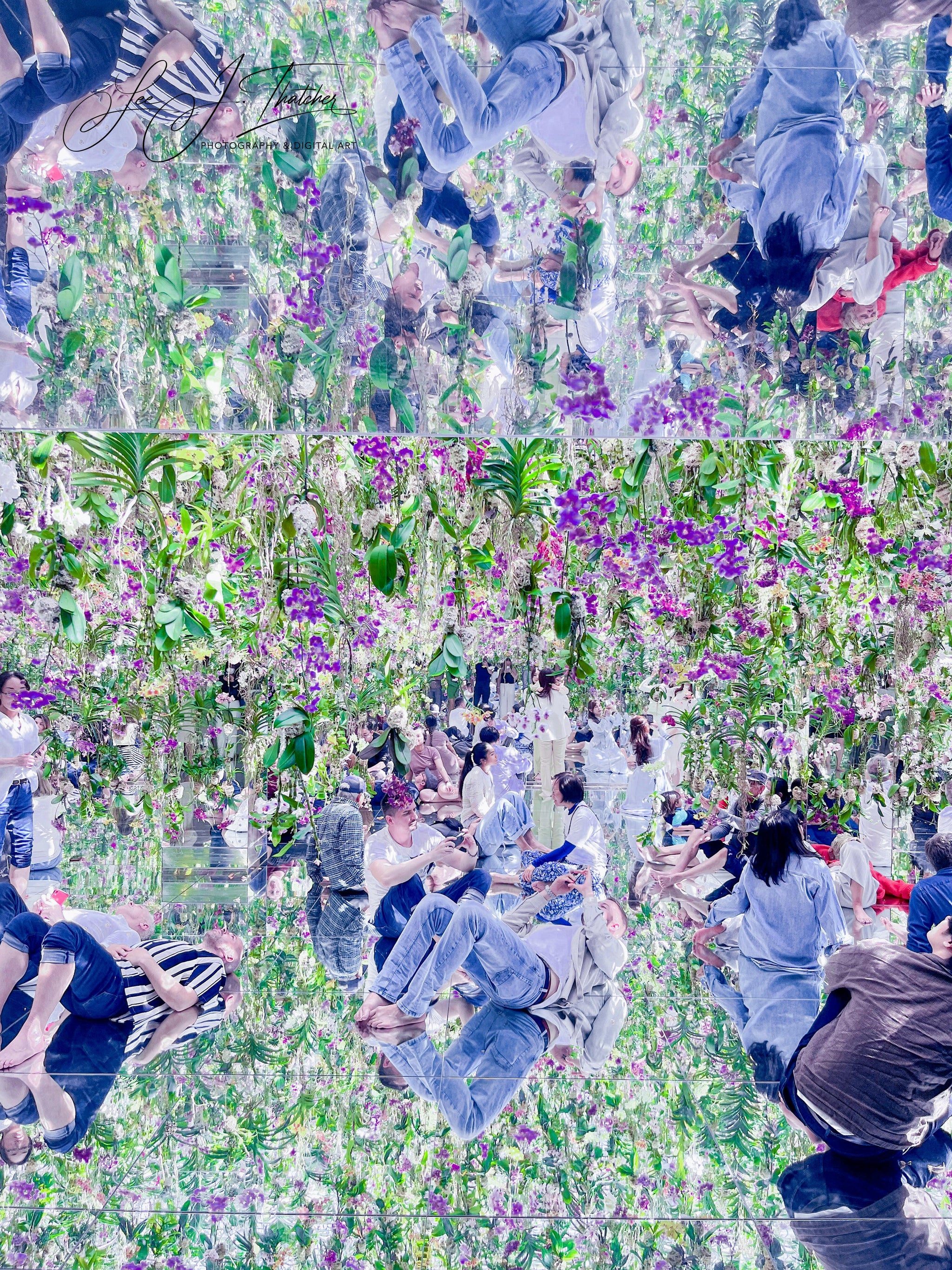 Tokyo Reflection, Artistic Fine Photograph, Tokyo photography, environmental art, digital artwork, quality prints, Tokyo photos, Tokyo flowers, flower art prints, purple artworks, digital art prints, LJT photography,