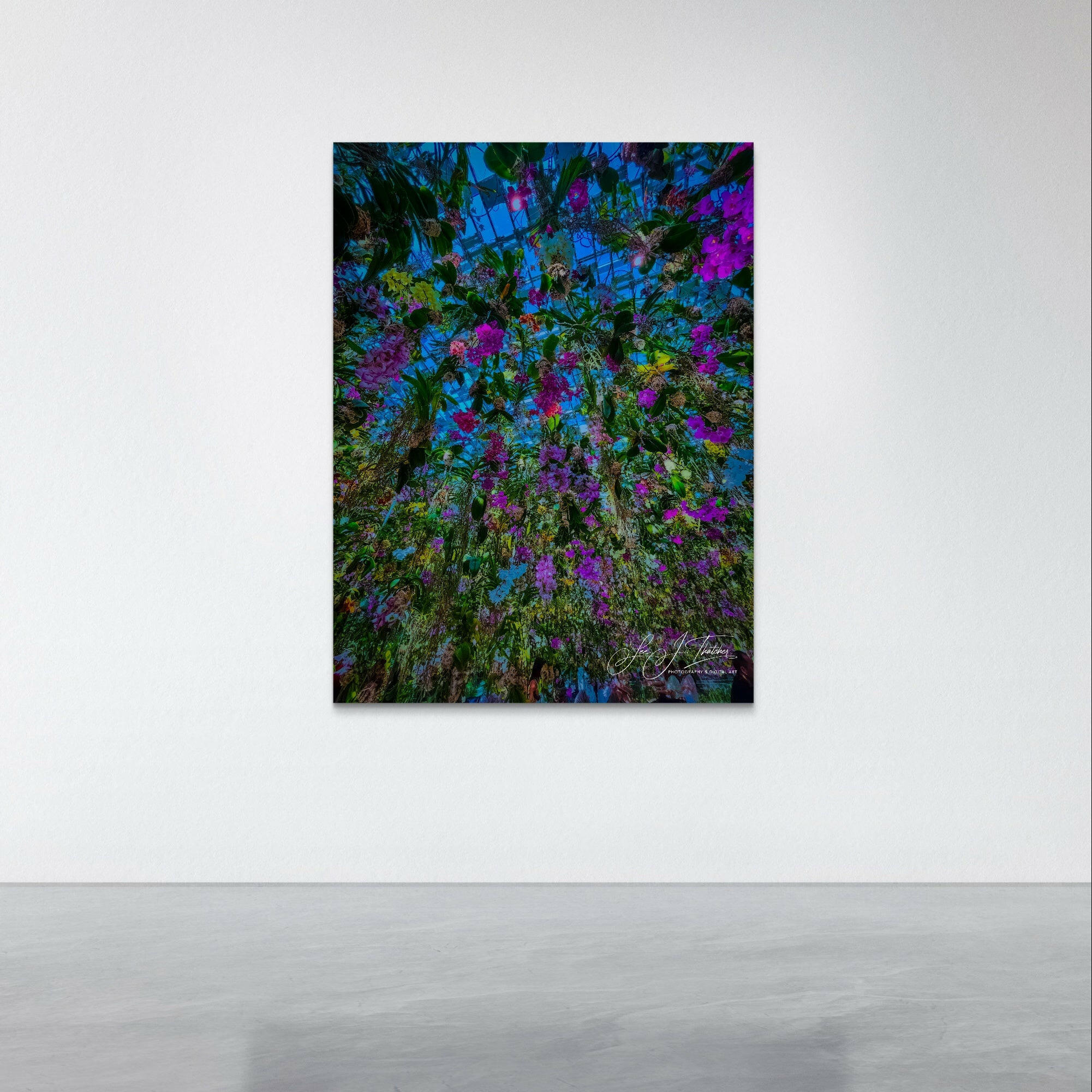 Tokyo Bloom, Award Winning Artistic Fine Art Photograph, Award winning photos, Award winning photography, purple and green photography, flower photography, floral installation, Tokyo photography, flower photos, floral art prints, flower installations, artistic flower photos, flower art prints