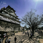 Himeji Castle.