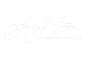 Navigate back to Lee J Thatcher Photography & Digital Art homepage