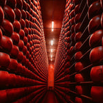cheese art work, Cheese art, cheese photography, cheese lover, cheese wheel photography, aging cheese, beautiful cheese photography, artistic cheese photography