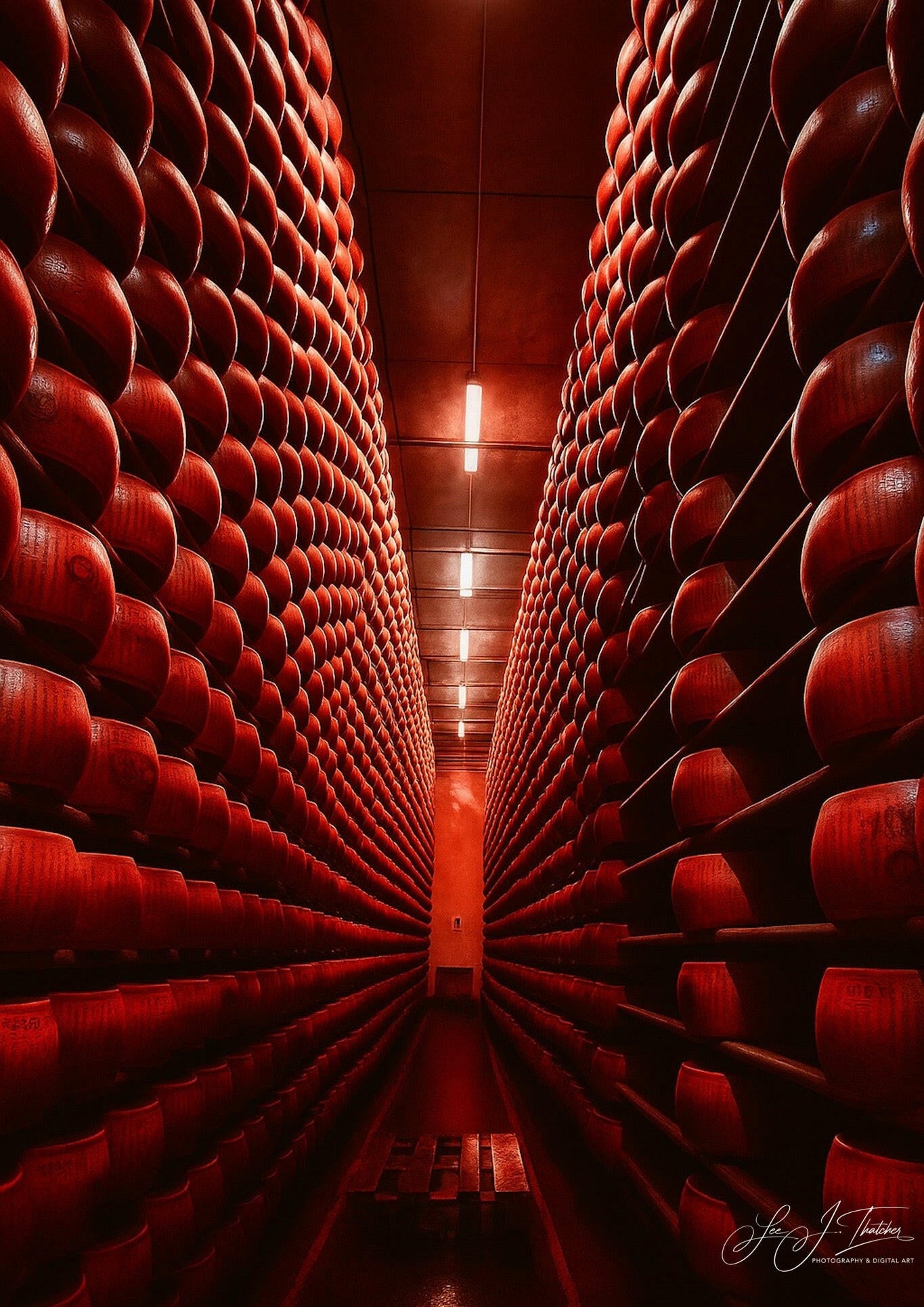 cheese art work, Cheese art, cheese photography, cheese lover, cheese wheel photography, aging cheese, beautiful cheese photography, artistic cheese photography