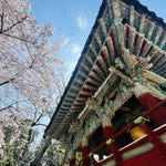 Temple of The Gods.