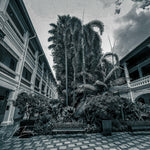 The Courtyard.