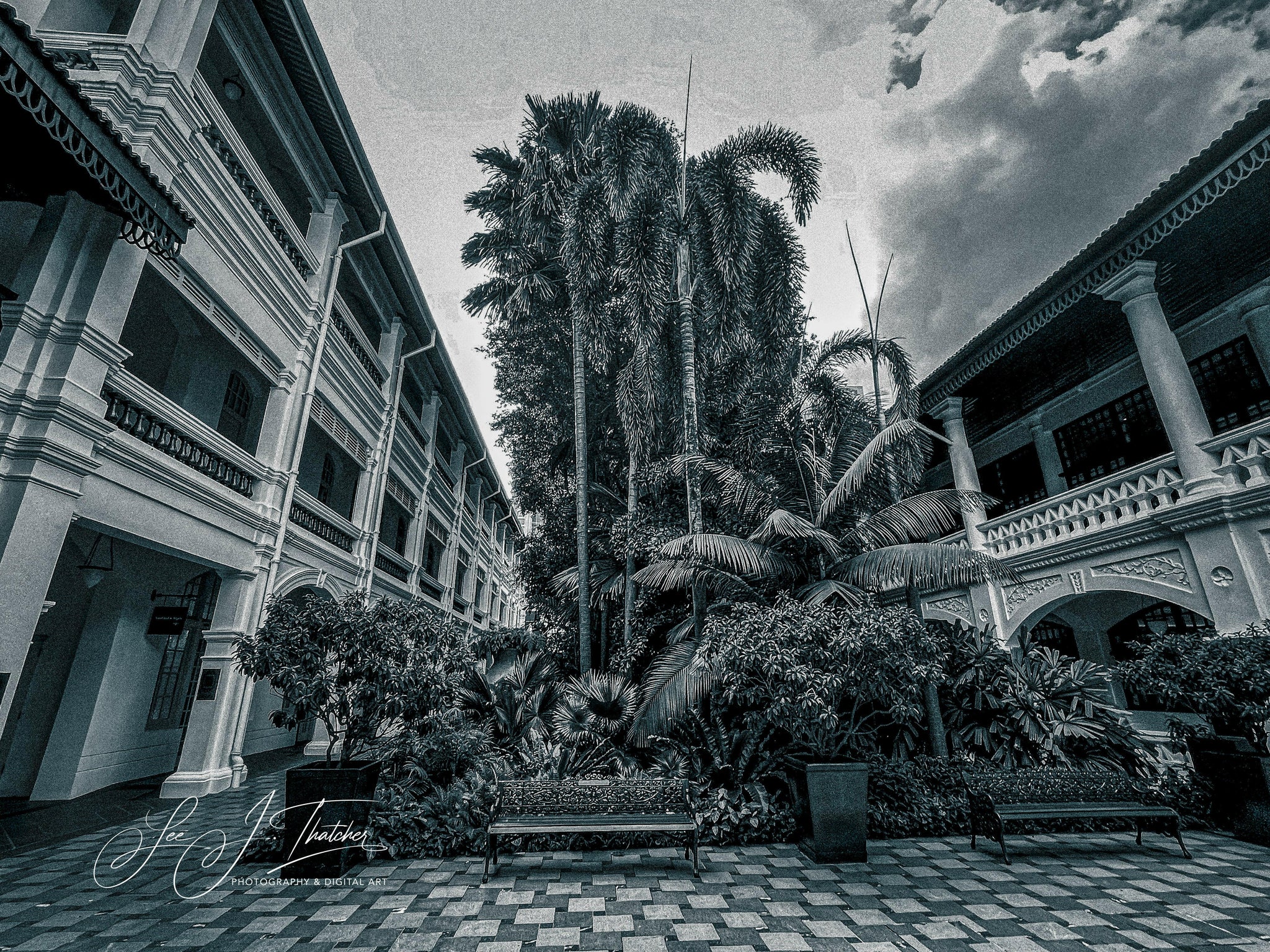 The Courtyard.